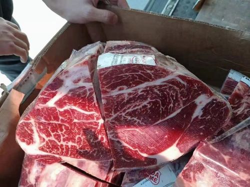 关于牛肉一般贸易进口清关手续的介绍